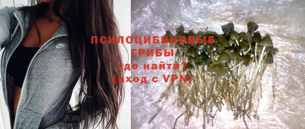гашиш Абаза