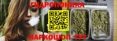 a pvp Донской