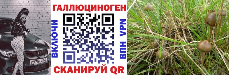 Псилоцибиновые грибы MAGIC MUSHROOMS  купить наркотики цена  Псков 