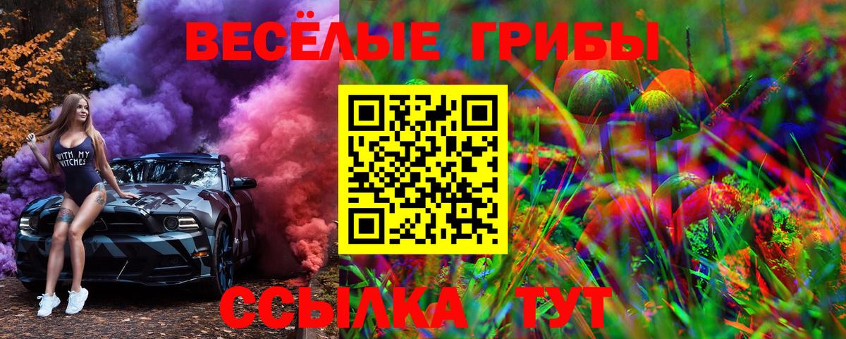Псилоцибиновые грибы MAGIC MUSHROOMS Псков