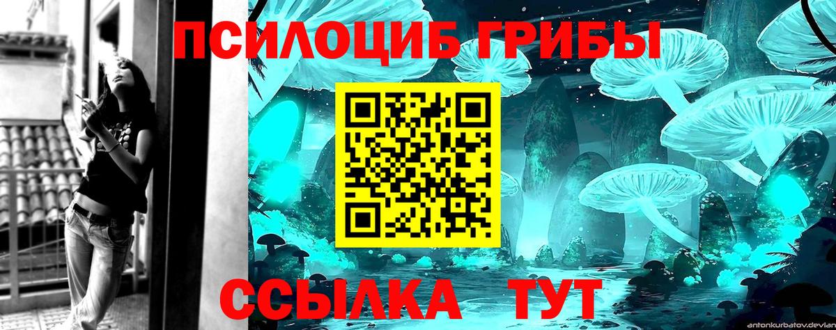 Псков  Галлюциногенные грибы Magic Shrooms  Вход с VPN 
